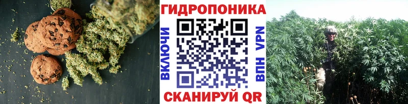закладки  MEGA зеркало  Еда ТГК конопля  Асбест 