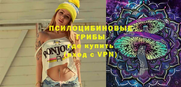 мяу мяу мука Тайга