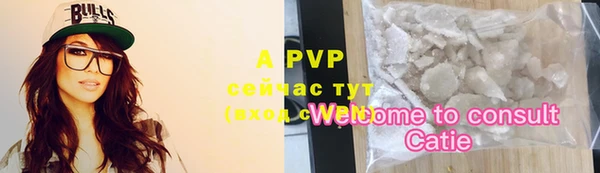 спайс Сясьстрой