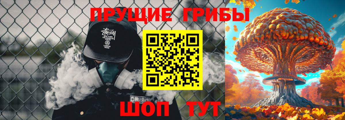 магазин    Вход с VPN  Асбест  Псилоцибиновые грибы Psilocybine cubensis 