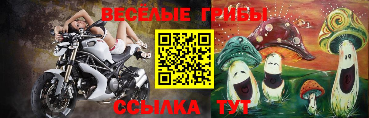 Галлюциногенные грибы прущие грибы  что такое   Асбест  Псилоцибиновые грибы мухоморы 